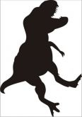 DINOSSAURO M (80X60CM)